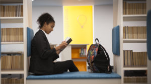alt text for the image